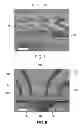 Fig. 09 - COMPOSITIONS AND METHODS TO FABRICATE A PHOTOACTIVE SUBSTRATE SUITABLE FOR SHAPED GLASS STRUCTURES
