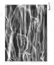 Fig. 09 - CORE/SHELL STRUCTURED ELECTRODES FOR ENERGY STORAGE DEVICES
