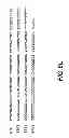 Fig. 49 - CYCLIC NUCLEOTIDE-SPECIFIC PHOSPHODIESTERASES FROM LEISHMANIA AND USES THEREOF