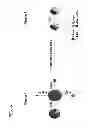 Fig. 09 - Variants of human taste receptor genes