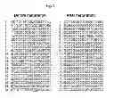 Fig. 02 - High-speed maturation method for an oligonucleotide library for the purpose of preparing a protein library