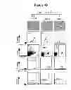 Fig. 09 - COMPOSITIONS AND METHODS OF TREATING A PROLIFERATIVE DISEASE WITH A QUINAZOLINONE DERIVATIVE