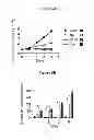 Fig. 14 - COMPOSITIONS AND METHODS OF TREATING A PROLIFERATIVE DISEASE WITH A QUINAZOLINONE DERIVATIVE