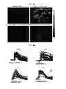 Fig. 02 - COMPOSITION FOR INHIBITING THE ACTIVITY OF INOSITOL 1,4,5-TRIPHOSPHATE RECEPTOR SUBTYPE III