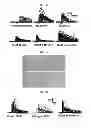 Fig. 03 - COMPOSITION FOR INHIBITING THE ACTIVITY OF INOSITOL 1,4,5-TRIPHOSPHATE RECEPTOR SUBTYPE III