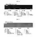 Fig. 07 - COMPOSITION FOR INHIBITING THE ACTIVITY OF INOSITOL 1,4,5-TRIPHOSPHATE RECEPTOR SUBTYPE III
