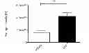 Fig. 01 - Compositions, kits and methods for treatment of complement-related disorders