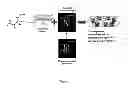 Fig. 02 - Medical device with predefined activated cellular integration