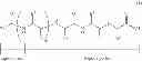 Fig. 04 - Lipid peptide and hydrogel