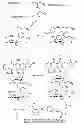 Fig. 01 - Self-reactive arms and prodrugs comprising same