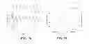 Fig. 17 - Using differential time-frequency tissue-response spectroscopy to evaluate living body response to a drug