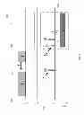 Fig. 04 - FUNCTIONAL MAGNETIC RESONANCE IMAGING APPARATUS AND METHODS