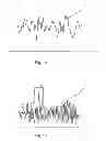 Fig. 02 - Method of visualization of tissue perfusion by means of assessing BOLD signal fluctuations, an apparatus therefor and the use thereof