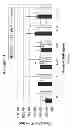 Fig. 09 - Systems and methods using nuclear magnetic resonance (NMR) spectroscopy to evaluate pain and degenerative properties of tissue