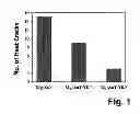 Fig. 02 - Magnesium alloy