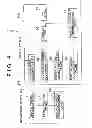 Fig. 05 - Traffic control system, vehicle control system, and traffic control method