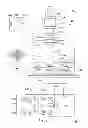 Fig. 02 - Method and apparatus for calculating electromagnetic scattering properties of finite periodic structures