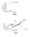 Fig. 06 - Process for designing and manufacturing an ignition system for an internal combustion engine