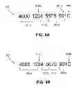Fig. 09 - Alterable account number
