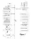 Fig. 02 - System and Method for Gathering, Restructuring, and Searching Text Data from Several Different Data Sources