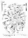 Fig. 08 - MULTIDIMENSIONAL INTEGRATIVE EXPRESSION PROFILING FOR SAMPLE CLASSIFICATION