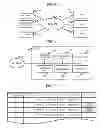 Fig. 02 - TERMINAL, DISTRIBUTION SYSTEM, DISTRIBUTION SERVER, PLAYBACK METHOD, AND PROGRAM