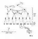 Fig. 06 - Constructing a logical, regular axis topology from an irregular topology
