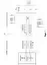 Fig. 02 - Memory pinning through buffer encapsulation