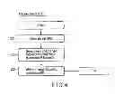 Fig. 07 - Device and authentication method therefor