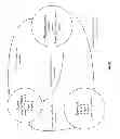 Fig. 22 - Computing core application access utilizing dispersed storage