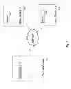 Fig. 06 - Visual interface browser