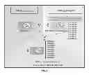 Fig. 02 - Seedless pepper plants