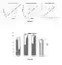Fig. 07 - Seedless pepper plants