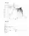 Fig. 08 - Signal processing device