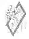Fig. 02 - Hog Guard