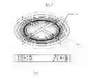 Fig. 10 - Electric field generating apparatus for combustion chamber
