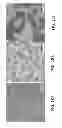 Fig. 28 - SMALL CORE/LARGE SHELL SEMICONDUCTOR NANOCRYSTALS FOR HIGH PERFORMANCE LUMINESCENT SOLAR CONCENTRATORS AND WAVELENGTH DOWNSHIFTING