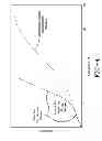 Fig. 04 - DUAL MODULUS PLY FOR A PNEUMATIC TIRE