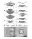 Fig. 01 - GRAPHENE-BASED MEMBRANES AS ELECTRON TRANSPARENT WINDOWS FOR AMBIENT PRESSURE X-RAY PHOTOELECTRON SPECTROSCOPY