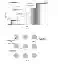 Fig. 04 - Heterogeneous proppant placement in a fracture with removable extrametrical material fill