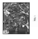 Fig. 02 - Composite material with conductive and ferromagnetic properties and hybrid slurry