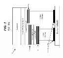 Fig. 02 - Ultraviolet reflective contact