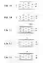 Fig. 06 - SEMICONDUCTOR LIGHT EMITTING DEVICE