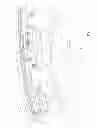 Fig. 02 - Integrated side curtain airbag assembly