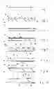 Fig. 02 - Security structure including phosphorescent and fluorescent compositions