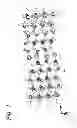 Fig. 02 - Phosphor, lighting fixture, and image display device