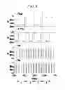 Fig. 07 - Fast wideband frequency comparator