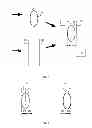 Fig. 04 - Method and device for detecting the orientation of an area of the body of an individual placed on an apposition area of a biometric sensor mounting