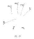 Fig. 35 - Identifying contacts on a touch surface