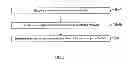 Fig. 09 - Systems and Methods for Transmitting Visual Content